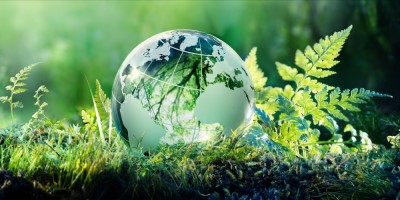 [Cuộc cách mạng thị trường xanh] Chủ nghĩa môi trường thân thị trường: Cách tốt nhất để bảo vệ hành tinh của chúng ta 