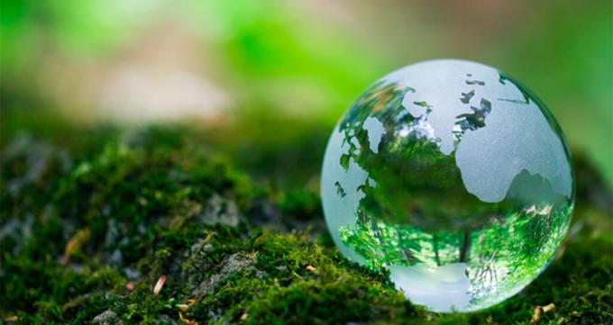 Giải pháp nào cho sự thiếu hiểu biết trầm trọng về thế giới?