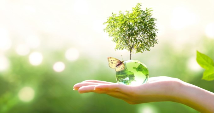 Chủ nghĩa môi trường thân thị trường tự do