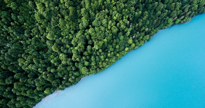 [Cuộc cách mạng thị trường xanh]  Sự đồng thuận hiện nay