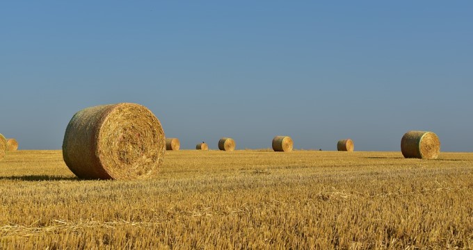 [Hệ luân lý tự do] Vấn đề cướp bóc đất đai