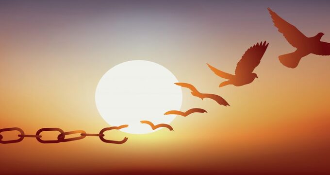 Tự Do Bất Khả Phân