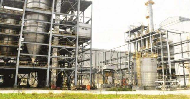 Công khai nguyên nhân lỗ các tập đoàn