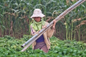  Chủ nghĩa tư bản có ích hay có hại cho phụ nữ?