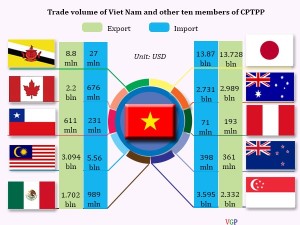 P/v ông Võ Trí Thành: Cơ hội Hiệp định Đối tác Toàn diện và Tiến bộ xuyên Thái Bình Dương - Không thể “bất chiến tự nhiên thành”
