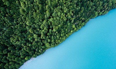 [Cuộc cách mạng thị trường xanh]  Sự đồng thuận hiện nay