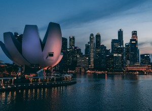 Kinh tế chính trị học về bất bình đẳng và tái phân phối ở Singapore (phần 2)