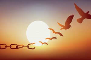 Tự Do Bất Khả Phân