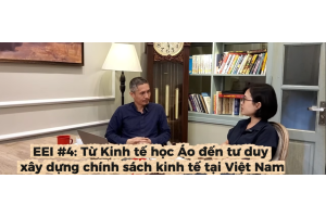 [VIDEO] Kinh Tế Áo và Hàm Ý Chính Sách Cho Việt Nam (EEI #4)